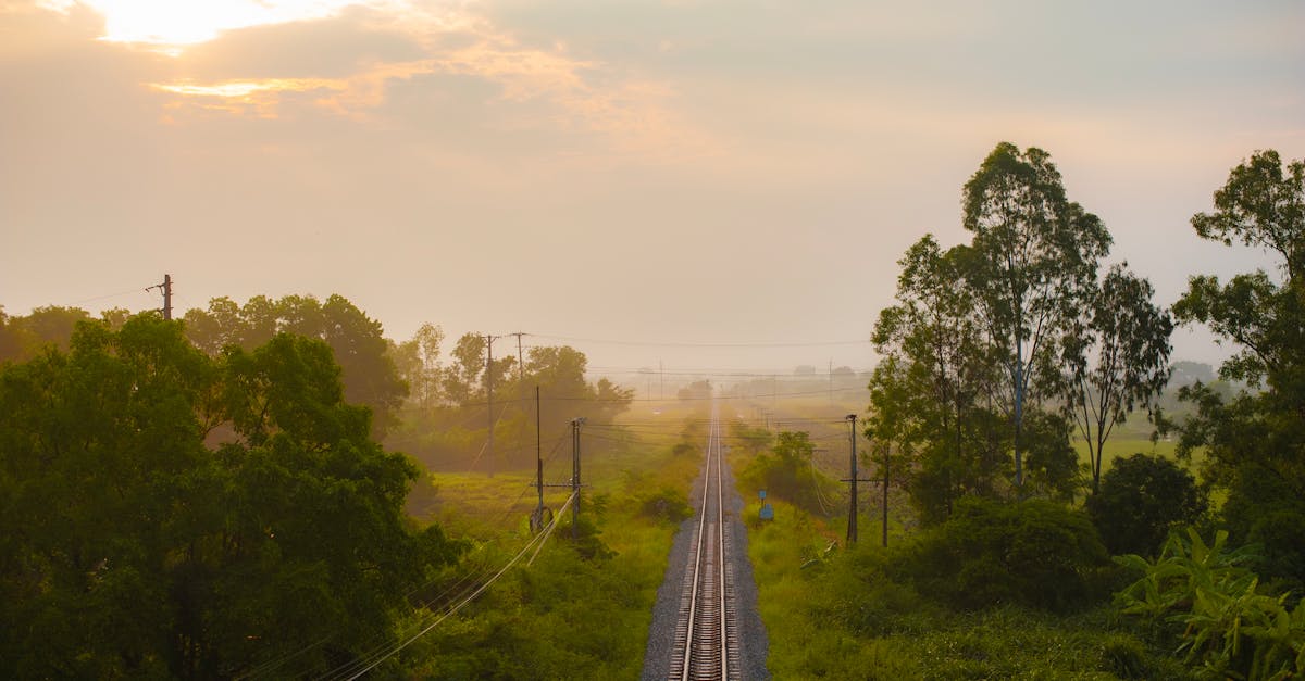 Morning Workout Routine